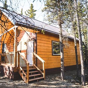 Denali Wild Stay - Redfox Cabin, Free Wifi, Private, Sleep 6 Healy Exterior photo