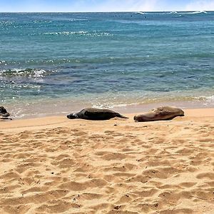 Honu He'E Nalu - The Surfing Turtle - Ocean & Beachfront! Stunning Views! Koloa Exterior photo