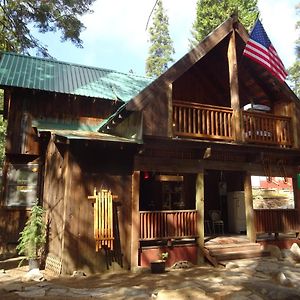 The Knotty Cabin In Kings Canyon National Park Wilsonia Exterior photo