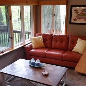 Treetop Cottage-Dog Friendly No Fees, Mill Lake, Hot Tub, Kayak, Paddle Boat, Row Boat, Firepit Gobles Exterior photo