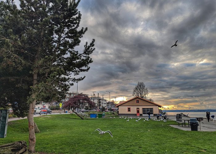 Alki Beach photo