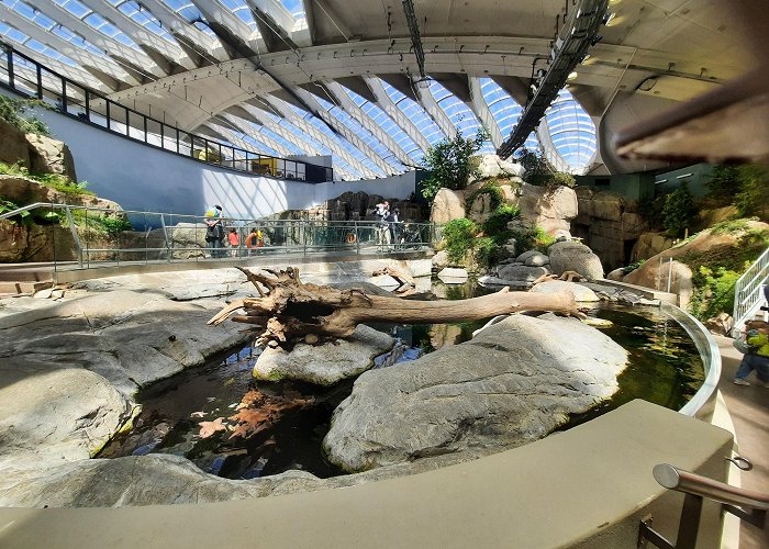 Montreal Biodome photo