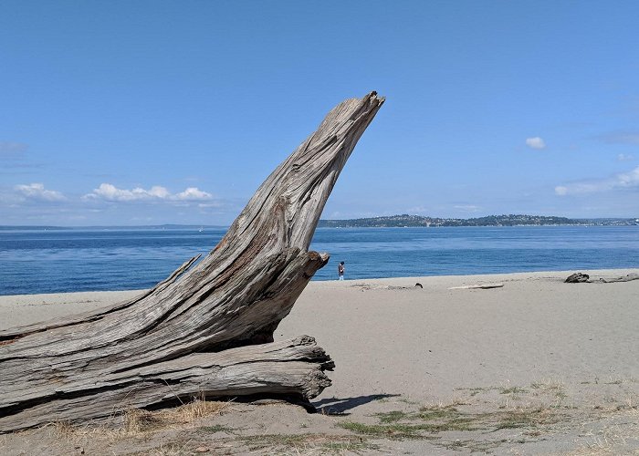 Alki Beach photo