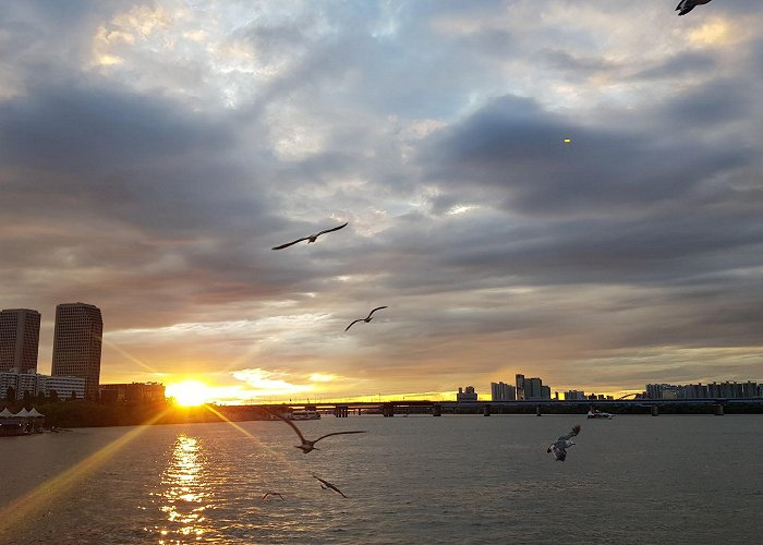 Hangang River Ferry Cruise photo