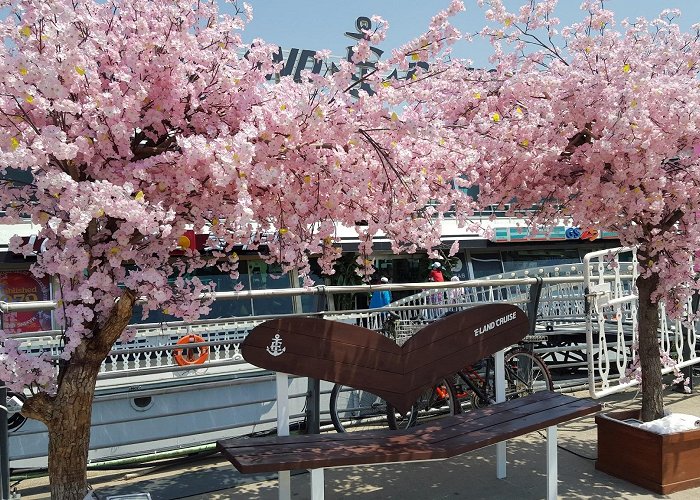 Hangang River Ferry Cruise photo