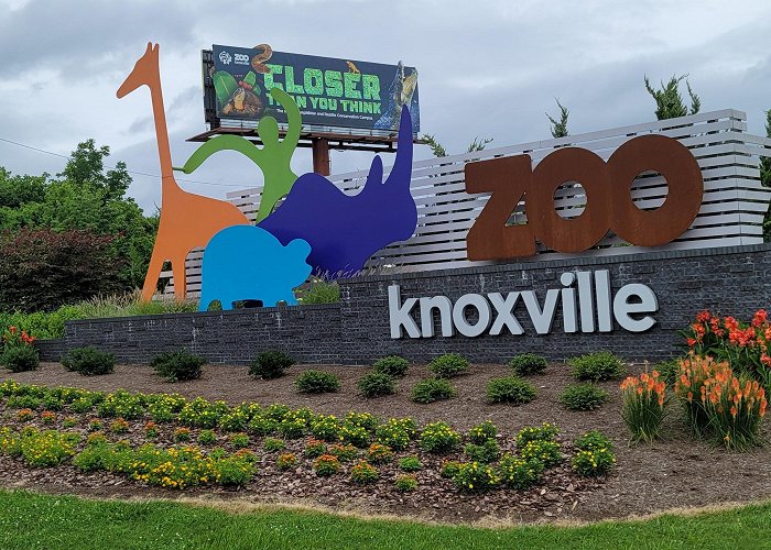 Zoo Knoxville photo