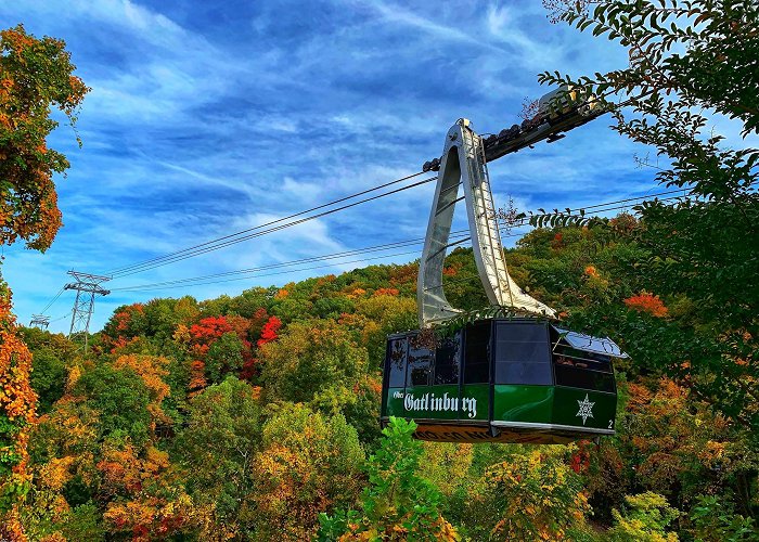 Ober Mountain Adventure Park & Ski Area photo