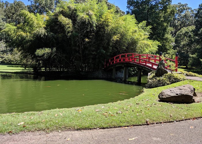 Memphis Botanic Garden photo