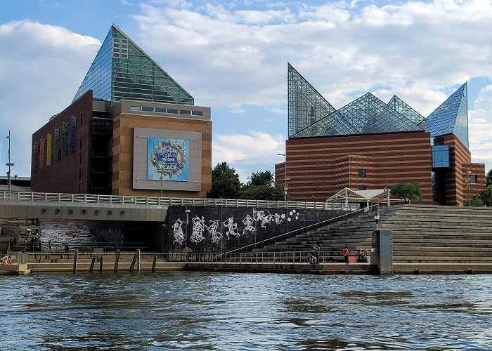 Tennessee Aquarium photo