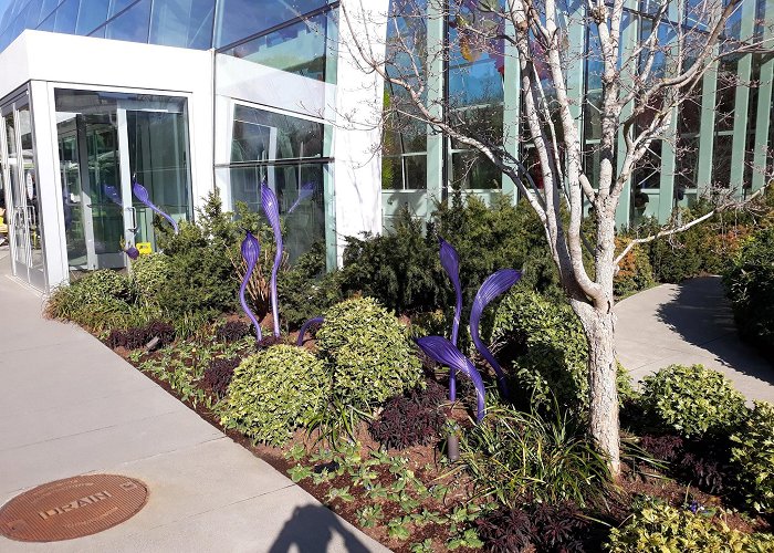 Chihuly Garden and Glass photo