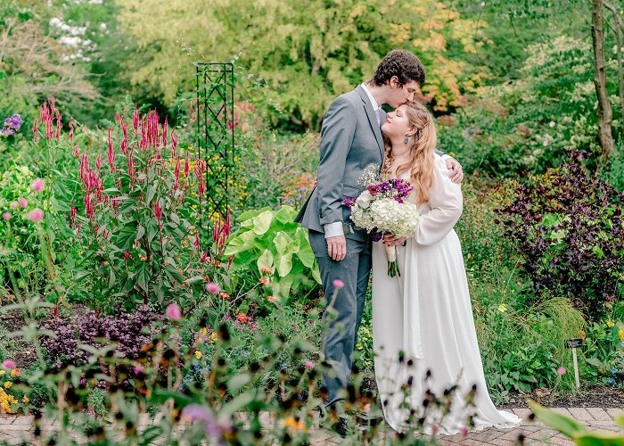 Green Spring Gardens Park Green Spring Gardens Park Micro Wedding - Alexandria, Northern ... photo