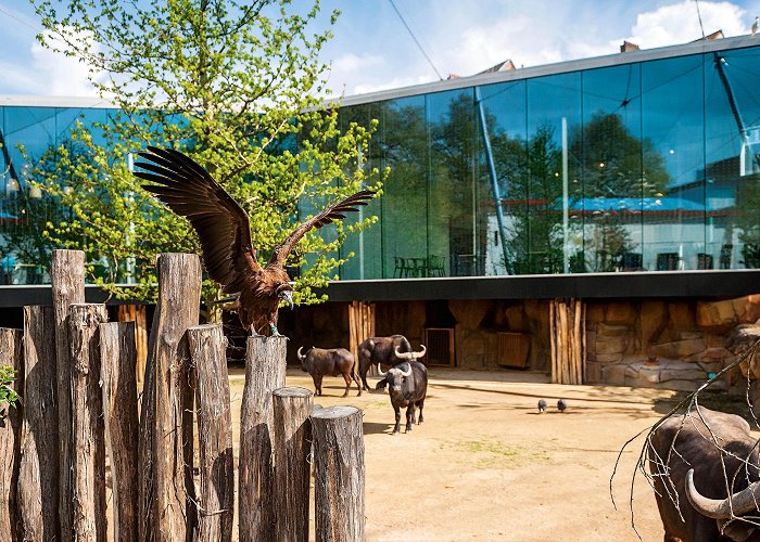 Antwerp Zoo Aviary and Restaurant At the Antwerp Zoo - Studio Farris ... photo