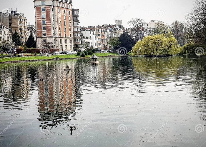 Place Flagey Lake Brussels stock photo. Image of little, duck, belgique - 128413036 photo