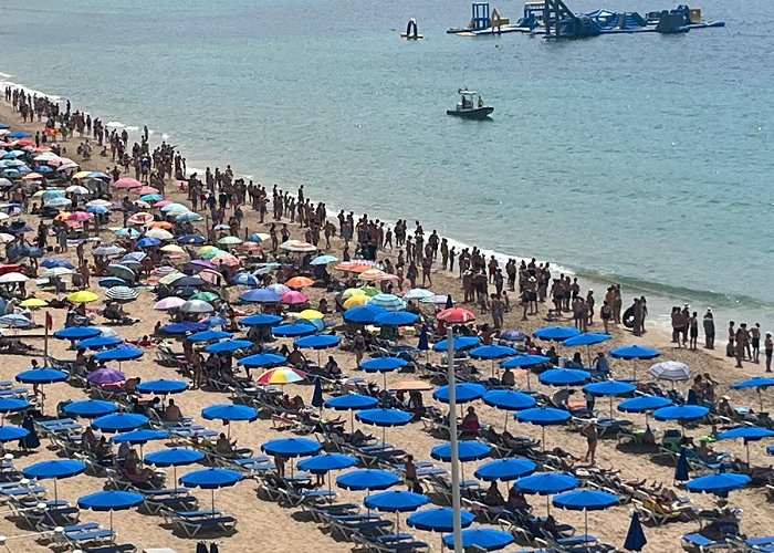 Levante beach Packed Benidorm beach closed after deadly creature spotted lurking ... photo