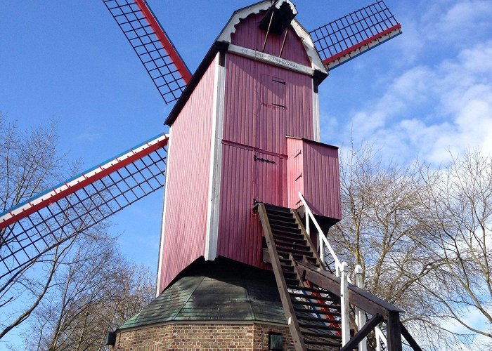 Koeleweimolen Pink windmill in Bruges … | Bruges, Bruges belgium, Windmill photo