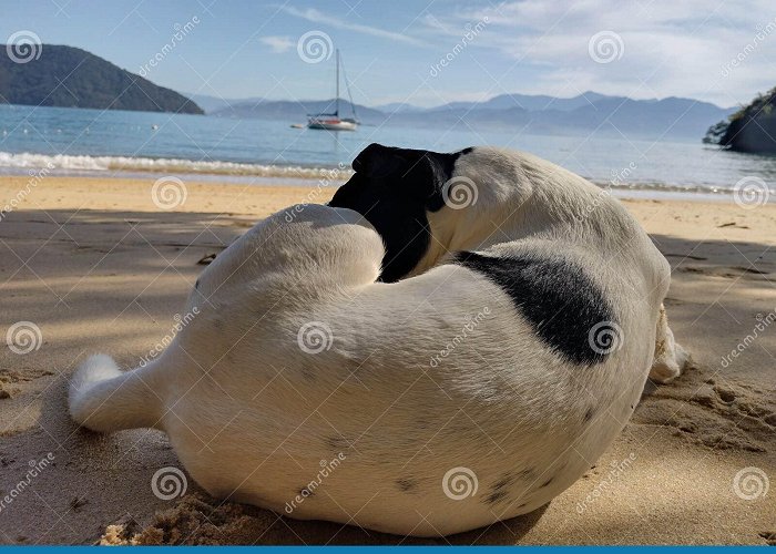 Abraaozinho Beach Zinho Stock Photos - Free & Royalty-Free Stock Photos from Dreamstime photo