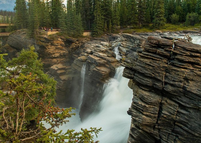 Athabasca Glacier Athabasca Falls Tours - Book Now | Expedia photo