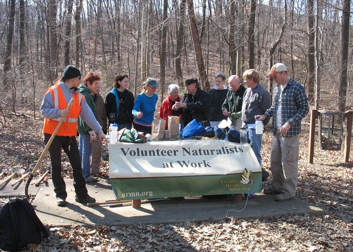 Barcroft Park Got CabIn Fever? Try the Invasives-Pull Cure! – Arlington Regional ... photo