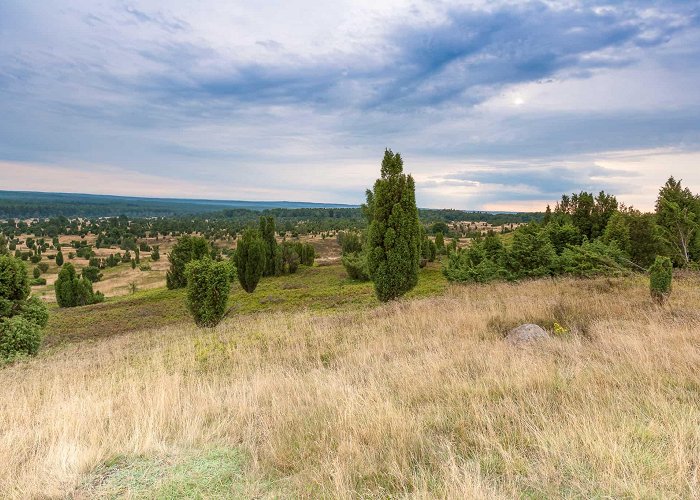 Wilseder Berg Frequently asked questions | VNP Verein Naturschutzpark photo