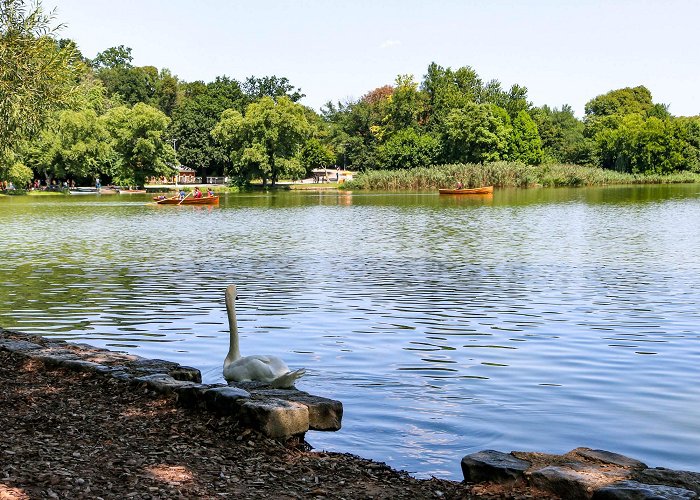 Jhb Zoo Lake Pitch In for Prospect Park's Lake Appreciation Month | Brownstoner photo