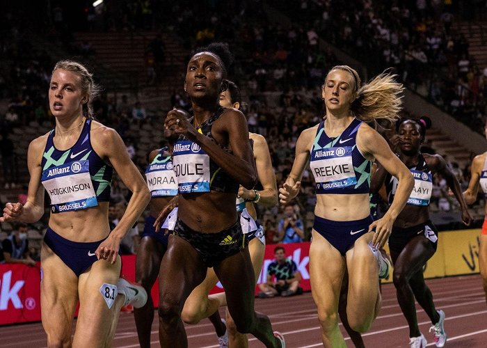 Sports Field World Athletics Has Banned Trans Women From Track and Field and ... photo
