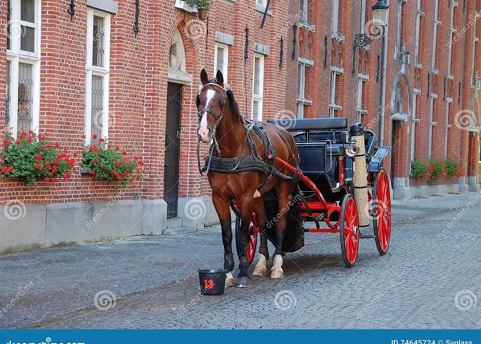 Sight-seeing Bruges in a Carriage Horse-driven cab in Bruges stock photo. Image of cityscape - 74645724 photo