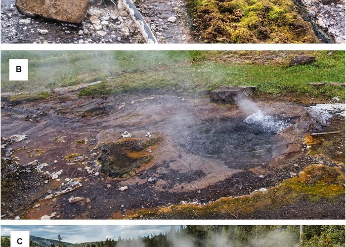 Contursi Hot Springs Frontiers | Comparative Analysis of Microbial Diversity Across ... photo