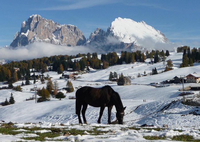 Sanon Rifugio Sanon: alla scoperta dell'Alpe di Siusi col passeggino ... photo