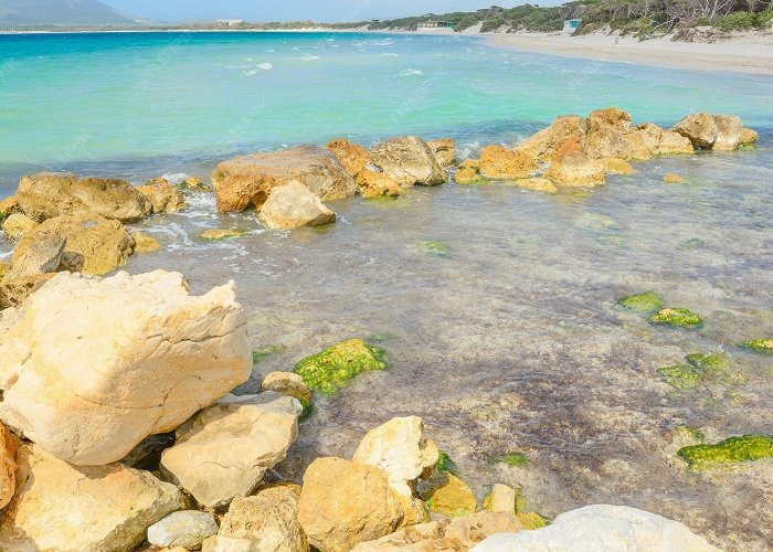 Maria Pia Beach Premium Photo | Yellow rocks by the shore in maria pia beach alghero photo