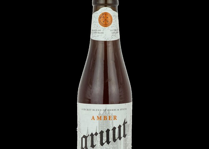 Gruut Brewery Gruut Amber Ale - 33cl - Buy beer online - Belgian Beer Factory photo