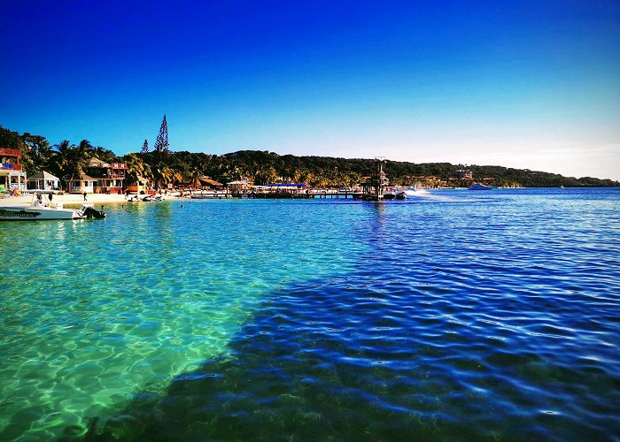 Roatan photo