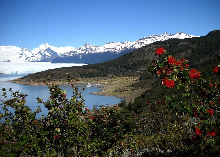 El Calafate photo