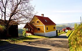 Ferienhaus Haring Villa Kitzeck im Sausal Exterior photo