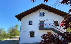 Ferienhaus Am Kagerstein Guest House Neukirchen beim Heiligen Blut Exterior photo