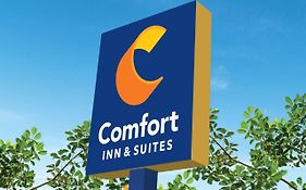 Comfort Inn & Suites Texas City Exterior photo