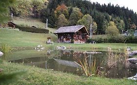 Le P'Ti Tzi-Me Villa Villars-sur-Ollon Exterior photo