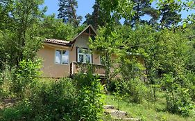 Dili Cottage Dilijan Exterior photo