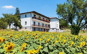 Gasthof-Pension Wein Breitenbrunn  Exterior photo