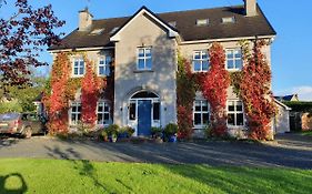 Lynster House Hotel Monaghan Exterior photo