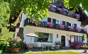 Pension Alpenhof Bad Aussee Exterior photo