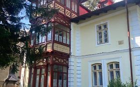 Vila Flavia Apartment Sinaia Exterior photo