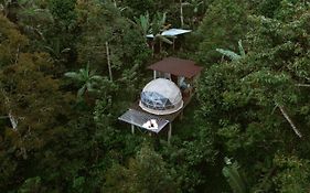 Bali Jungle Camping By Amerta Experience Tabanan  Exterior photo