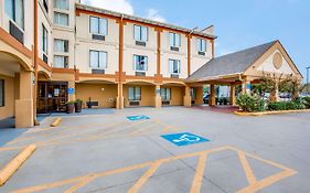 Comfort Inn & Suites Love Field-Dallas Market Center Exterior photo