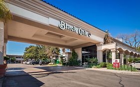 Best Western Plus Black Oak Hotel Paso Robles Exterior photo