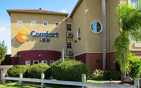 Comfort Inn Lathrop Stockton Airport Exterior photo