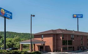 Comfort Inn Pine Grove I-81 Hershey Area Exterior photo