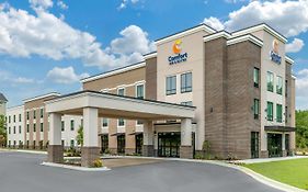 Comfort Inn & Suites Florence Exterior photo