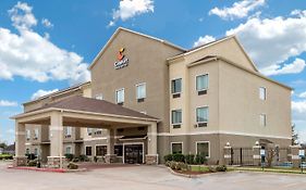 Comfort Inn & Suites Navasota Exterior photo