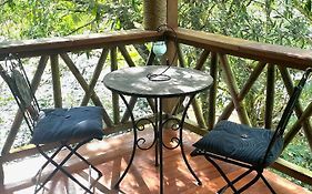 Caoni Riverside Lodge Puerto Quito Exterior photo