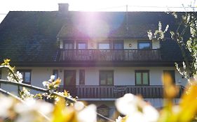 Buhlbauernhof Villa Bad Peterstal-Griesbach Exterior photo